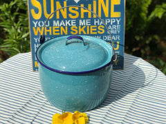 10 QT Cinsa Enamel Steel Convex Pot