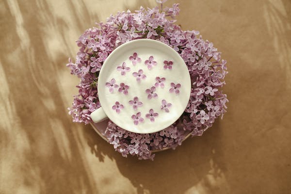 12 PC Tea Set with Dot Design
